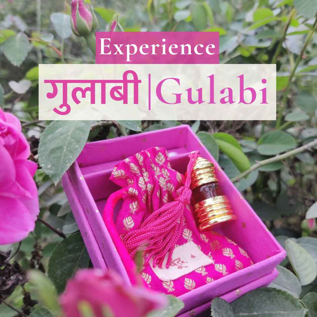 Gulabi Natural Perfume Oil (Indian Rose Attar) Boond Fragrances ...
